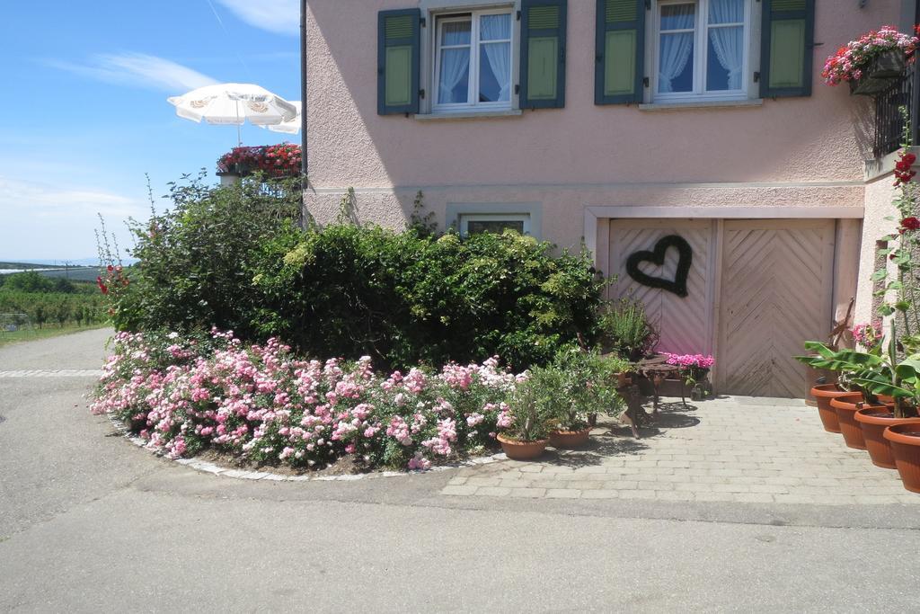 Gaestehaus Frohe Aussicht Kressbronn am Bodensee Exterior photo